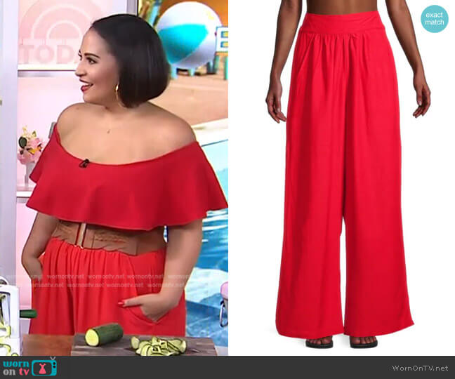 Bcbgmaxazria Riley High-Waisted Wide-Leg Pant worn by Alejandra Ramos on Today