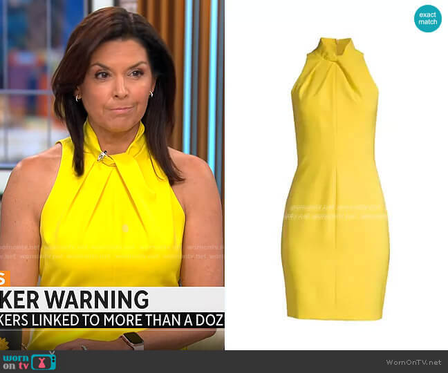 Black Halo Zana Sheath in Yellow worn by Meg Oliver on CBS Mornings