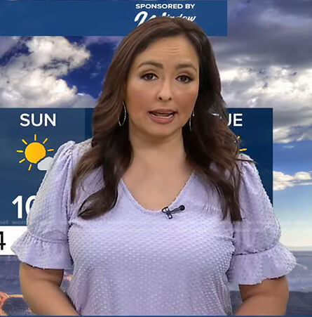 Iris Hermosillo’s lilac swiss dot top on Good Morning America