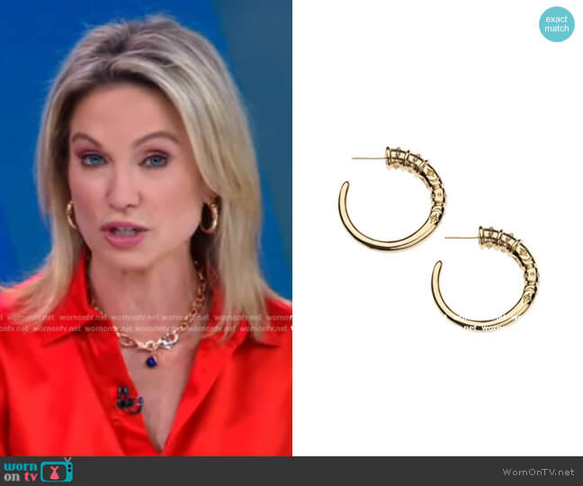 Jane Win Protect JW Tusk Hoop Earrings worn by Amy Robach on Good Morning America