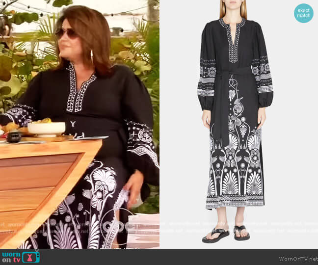 Kobi Halperin Alexia Embroidered Blouson-Sleeve Dress worn by Ana Navarro on The View