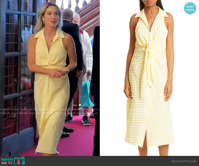 Likely Rommia Check Dress worn by Amy Robach on Good Morning America
