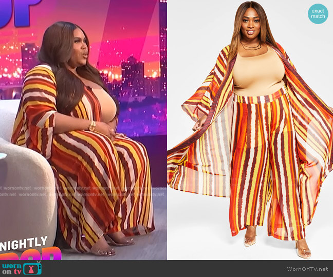Nina Parker Trendy Plus Size Chiffon Duster worn by Nina Parker on E! News