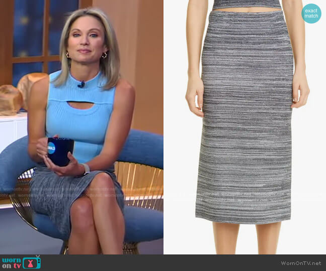 Proenza Schouler White Label Striated Knit Pencil Skirt worn by Amy Robach on Good Morning America