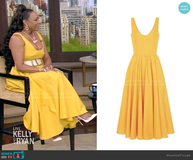 Alexander McQueen Sleeveless Fit & Flare Scoopneck Midi-Dress