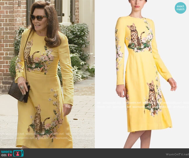 Dolce & Gabbana Printed Cady Dress