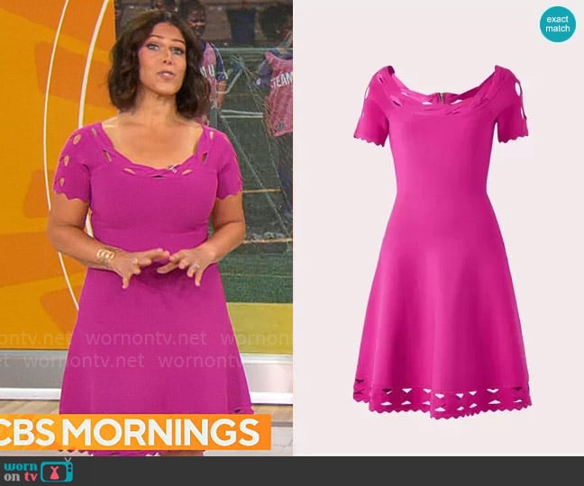 Milly Keyhole Twist Trim Flare Dress worn by Dana Jacobson on CBS Mornings