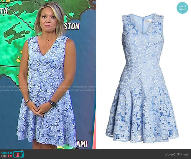 Eliza J Sleeveless Lace Fit & Flare Dress worn by Dylan Dreyer on Today
