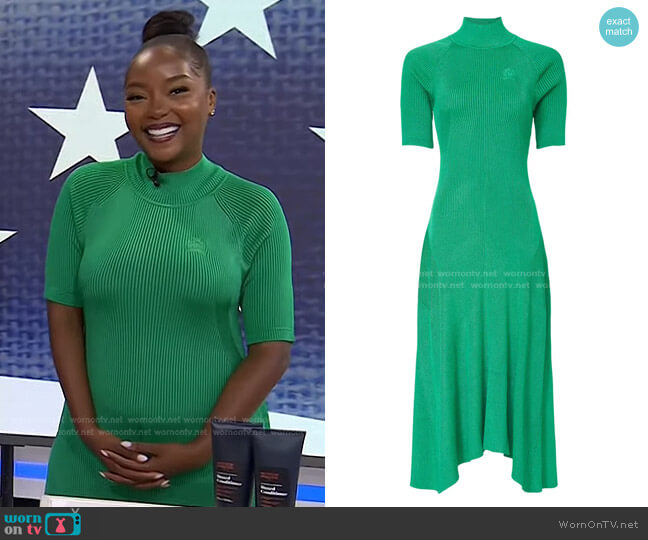 Tommy Hilfiger Slim Fit Mockneck Dress worn by Makho Ndlovu on Today