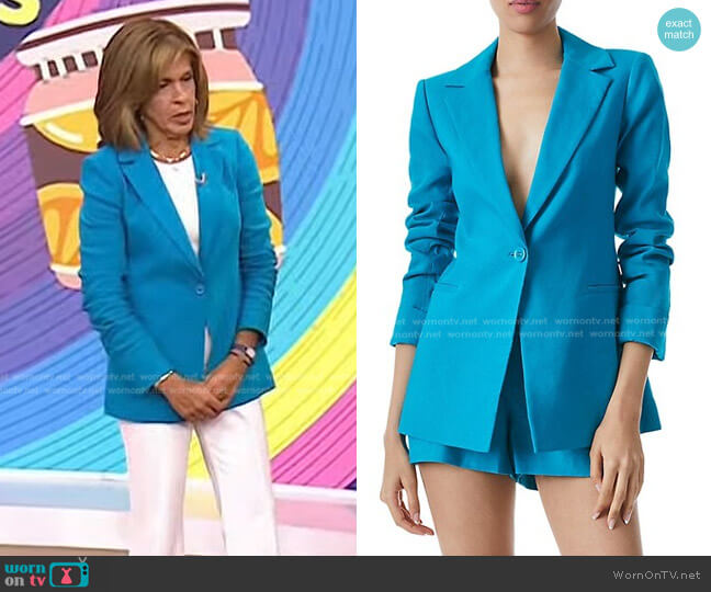 Alice + Olivia Pailey Fitted Linen Blend Blazer worn by Hoda Kotb on Today