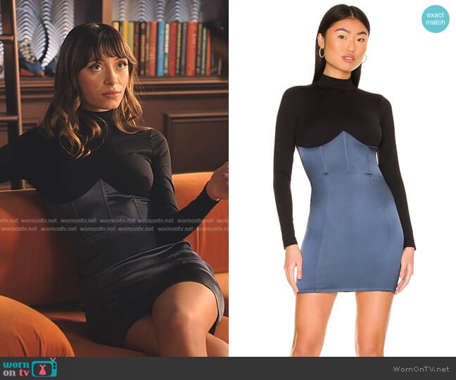 Fleur du Mal Mock Neck Longsleeve Dress worn by Susannah Robb (Elizabeth Cappuccino) on Tom Swift