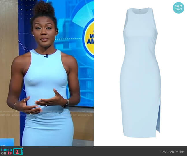 Likley Decklin Dress worn by Janai Norman on Good Morning America