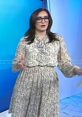 Savannah’s snake print tie neck dress on Today