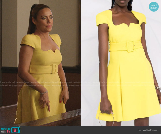 Versace Belted Flared Dress worn by Cristal Jennings (Daniella Alonso) on Dynasty