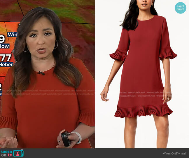 Alfani Pleated Bell Sleeves Flounce Dress worn by Iris Hermosillo on Good Morning America