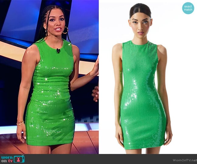 Alice + Olivia Delora Sleeveless Sequin Dress worn by Corinne Foxx on Beat Shazam