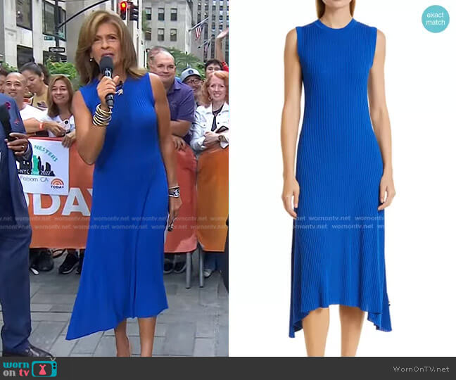 Boss Flenda Rib Sweater Dress worn by Hoda Kotb on Today