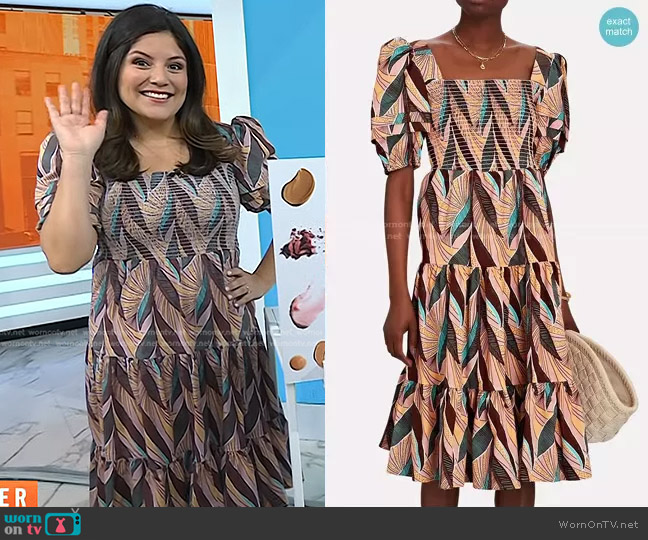 Autumn Adeigbo Della Tiered Printed Midi Dress worn by Adrianna Barrionuevo Brach on Today