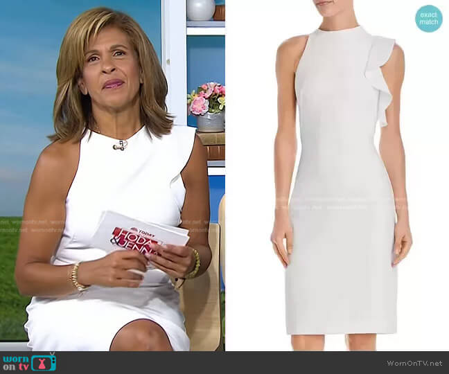 Black Halo Pabla Sheath Dress worn by Hoda Kotb on Today
