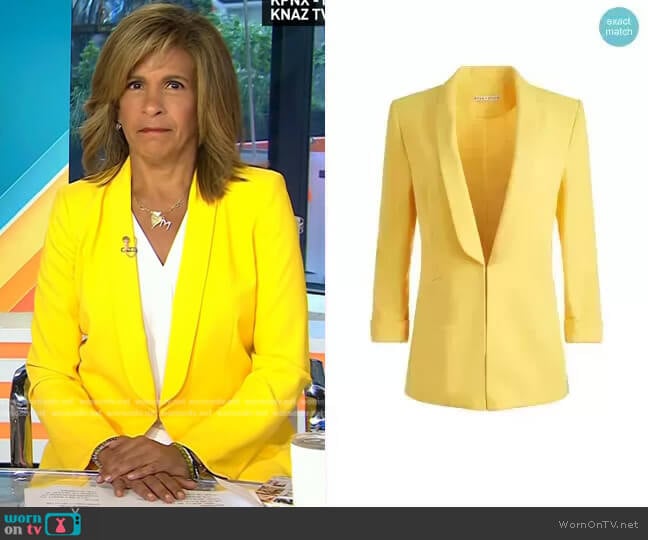 Alice + Olivia Skye Blazer worn by Hoda Kotb on Today