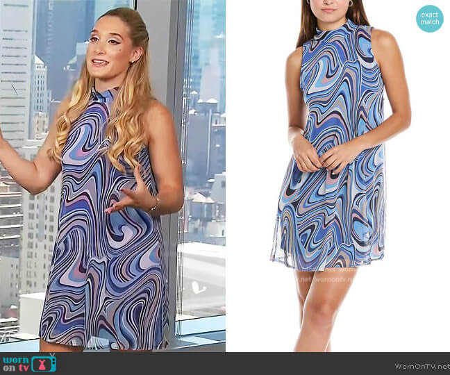 Tash + Sophie Sophie Mock Neck Swing Dress worn by Brittney Levine on Extra