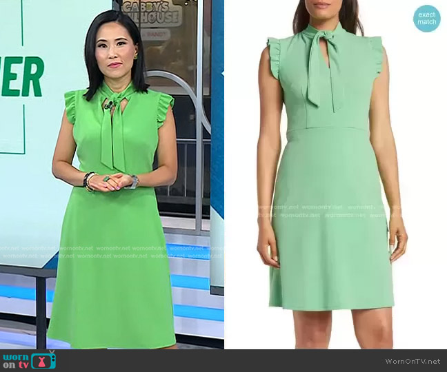 Maggy London Tie Neck Flutter Cap Sleeve A-Line Dress worn by Vicky Nguyen on Today