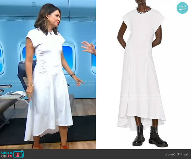 Frame Fitted Flare Organic Cotton Maxi Dress worn by Cecilia Vega on Good Morning America