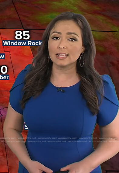 Iris’s blue tulip sleeve dress on Good Morning America