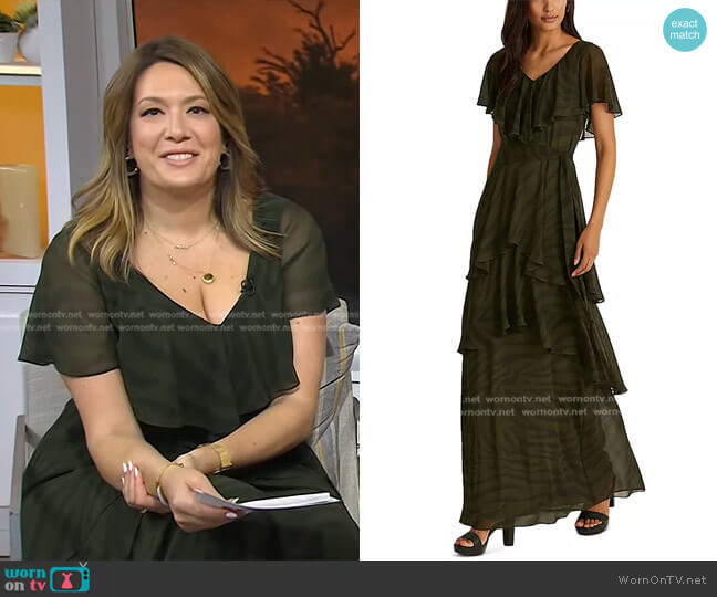 Ralph Lauren Zebra-Print Chiffon Gown worn by Michelle Collins on Today