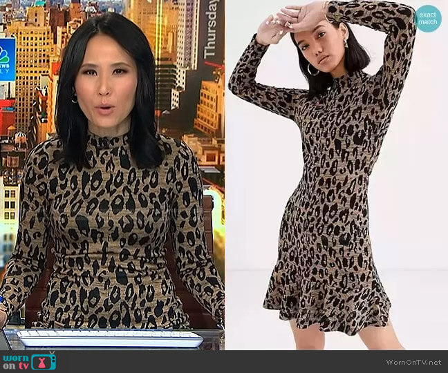 Whistles Animal Jersey Flippy Dress worn by Vicky Nguyen on NBC News Daily