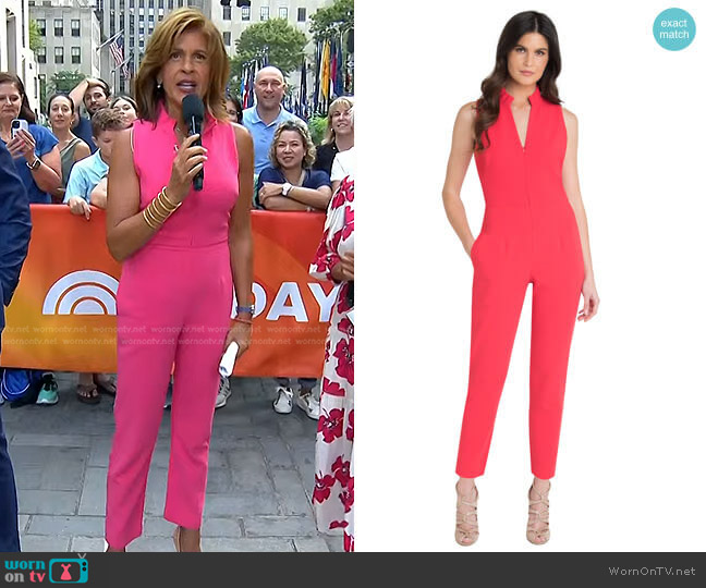 Black Halo Antoinette Jumpsuit worn by Hoda Kotb on Today