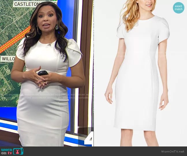 Calvin Klein Tulip-Sleeve Sheath Dress worn by Adelle Caballero on Today