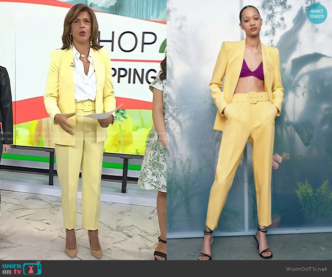 Zara Inverted Lapel Long Blazer worn by Hoda Kotb on Today