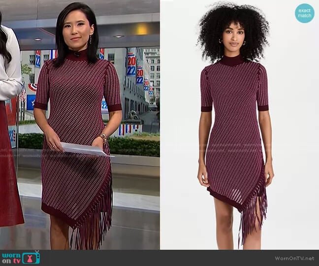 Jonathan Simkhai Orla Compact Pointelle Mini Dress worn by Vicky Nguyen on NBC News Daily