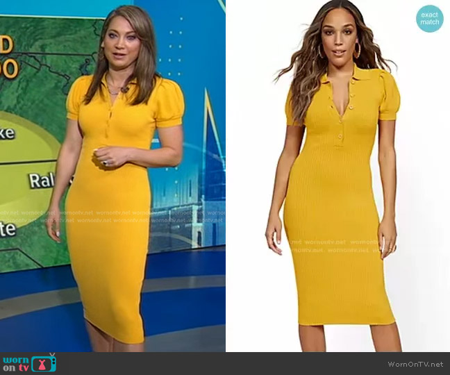 New York & Company Puff-Sleeve Polo Sweater Dress worn by Ginger Zee on Good Morning America
