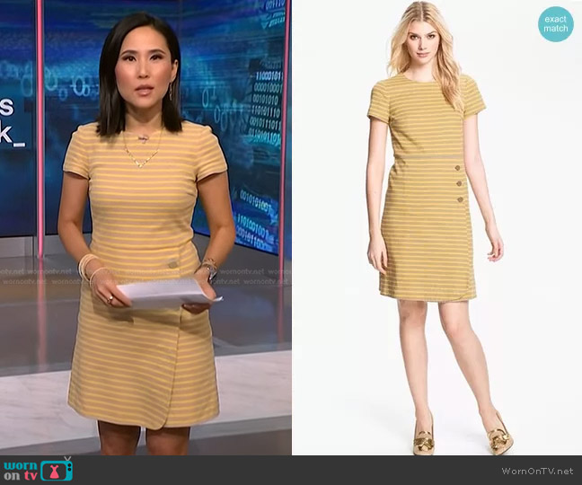 Tory Burch Kamilla Dress worn by Vicky Nguyen on NBC News Daily