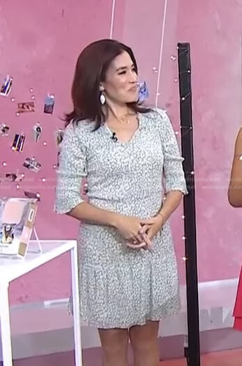 Amy E. Goodman’s green printed smocked dress on Today