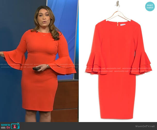 Calvin Klein Bell Sleeve Sheath Dress worn by Violeta Yas on NBC News Daily