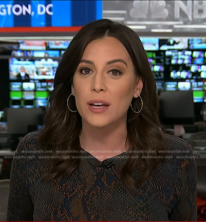 Hallie Jackson’s snake print dress on Today