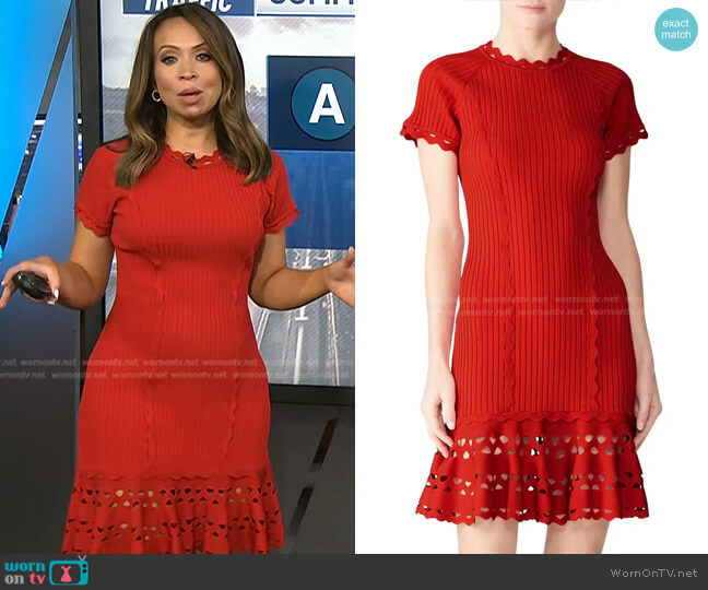 Jonathan Simkhai Knit Zig Zag Dress worn by Adelle Caballero on Today