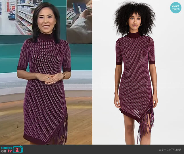 Jonathan Simkhai Orla Compact Pointelle Mini Dress worn by Vicky Nguyen on Today