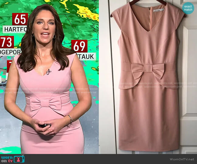 Karyn Miran Pink V-Neck Sheath Dress worn by Maria Larosa on Today