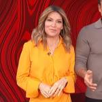 Kit’s orange shirtdress on Access Hollywood