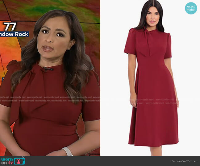 Maggy London Short Sleeve Necktie Midi Dress worn by Iris Hermosillo on Good Morning America