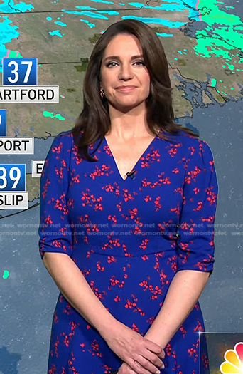 Maria’s blue floral v-neck dress on Today