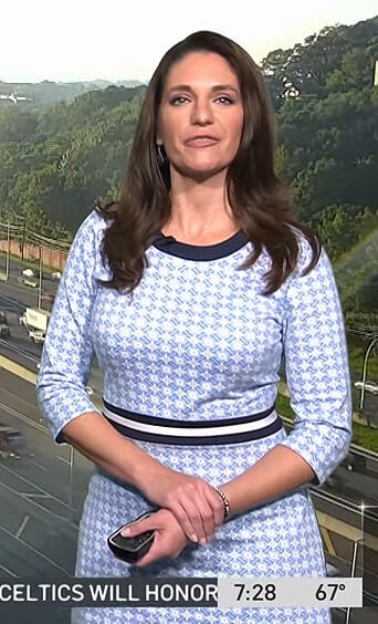 Maria’s blue printed striped waist dress on Today