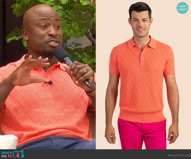 Mr Turk Lucas Short Sleeve Polo worn by Akbar Gbajabiamila on The Talk