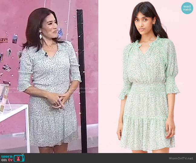 Rebecca Taylor Ikat Lurex Dress worn by Amy E. Goodman on Today