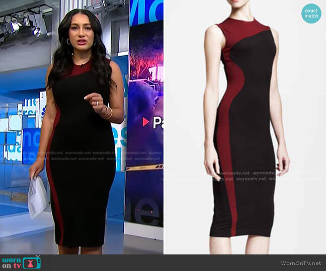 Stella McCartney Colorblock Sheath Dress worn by Morgan Radford on NBC News Daily