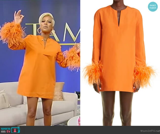 Valentino Feather Trim Long Sleeve Mini Dress worn by Tamron Hall on Tamron Hall Show